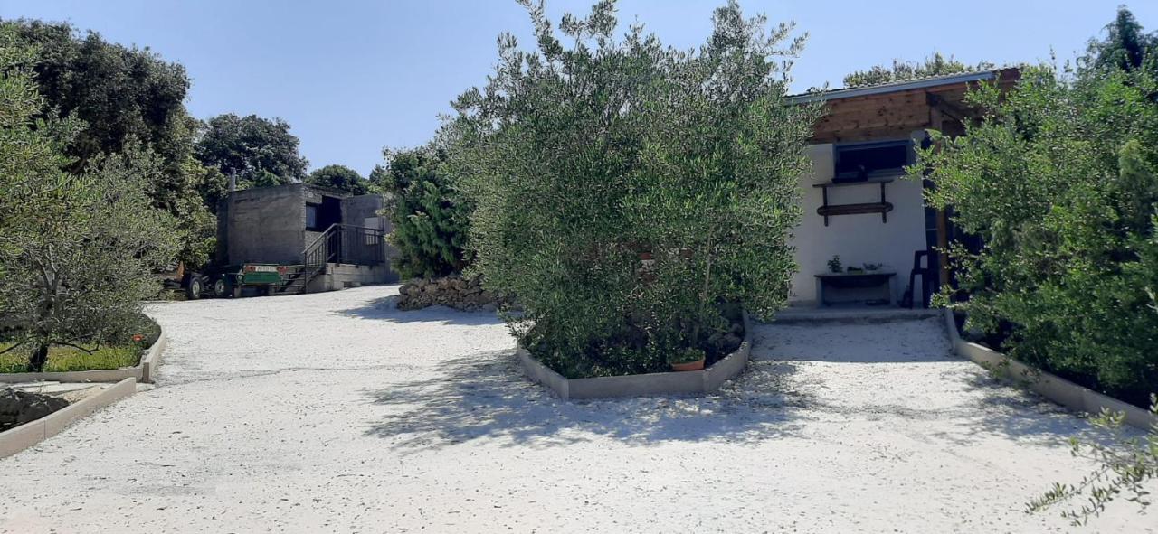 Olive Grove Holiday home Rogoznica (Sibenik-Knin)