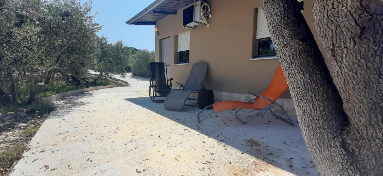 Olive Grove Rogoznica (Sibenik-Knin)